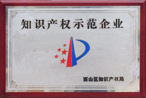 知识产权示范企业