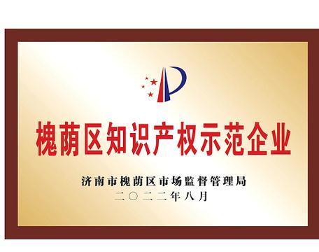 知识产权示范企业